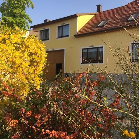 Waldenstein  Amstetter'S Ferienwohnung מראה חיצוני תמונה