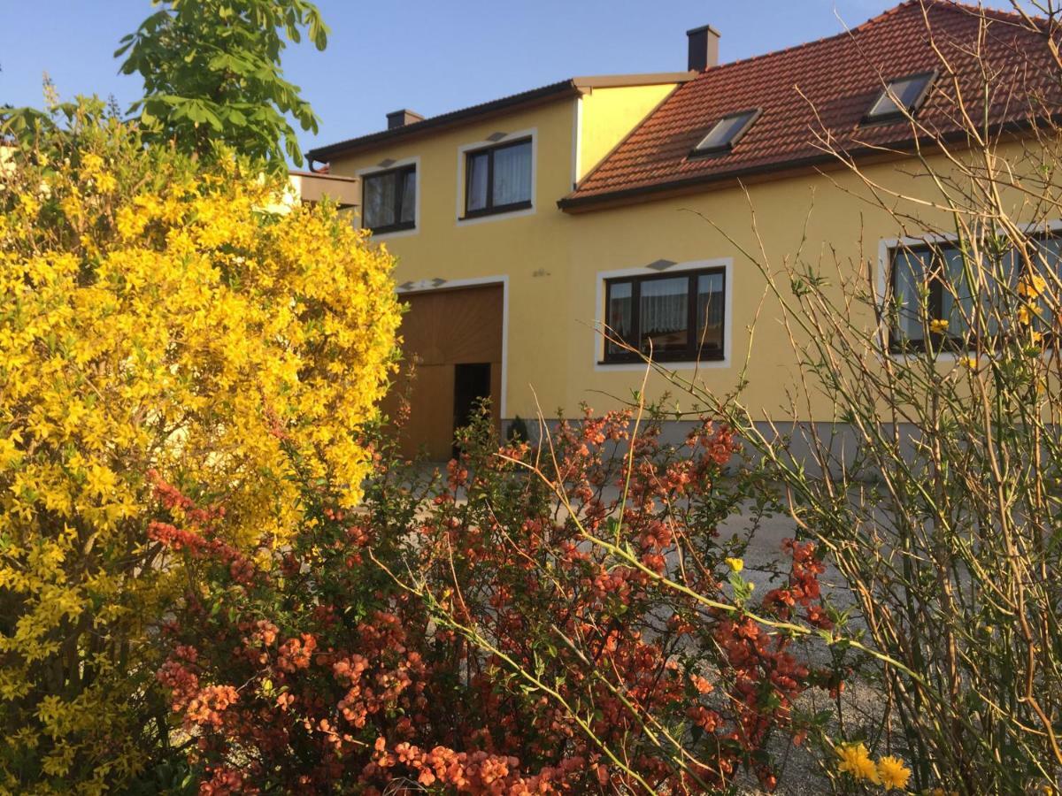 Waldenstein  Amstetter'S Ferienwohnung מראה חיצוני תמונה